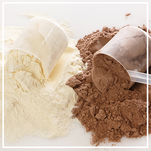 Protein Powders Supplement Applications